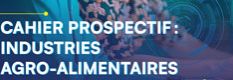 Cahier prospectif : industries agro-alimentaires