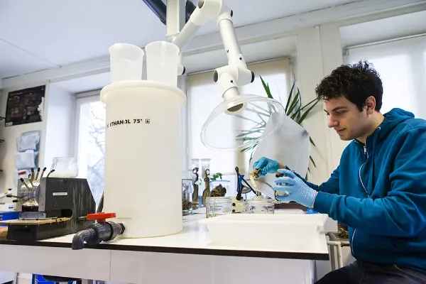 Pièce de travail où de l'éthanol est manipulé. Technicien manipulant sous un bras aspirant.