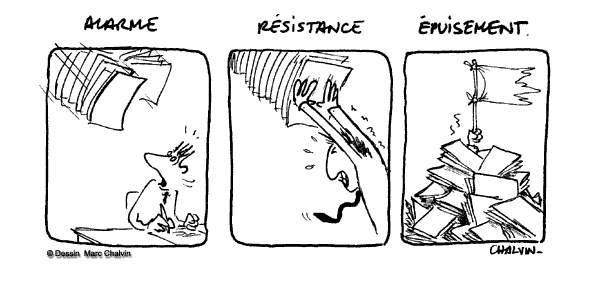 Mécanismes physiologiques du stress : alarme, résistance, épuisement Mécanismes physiologiques du stress : alarme, résistance, épuisement