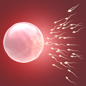 vue microscopique de spermatozoides et d’un ovule vue microscopique de spermatozoides et d’un ovule